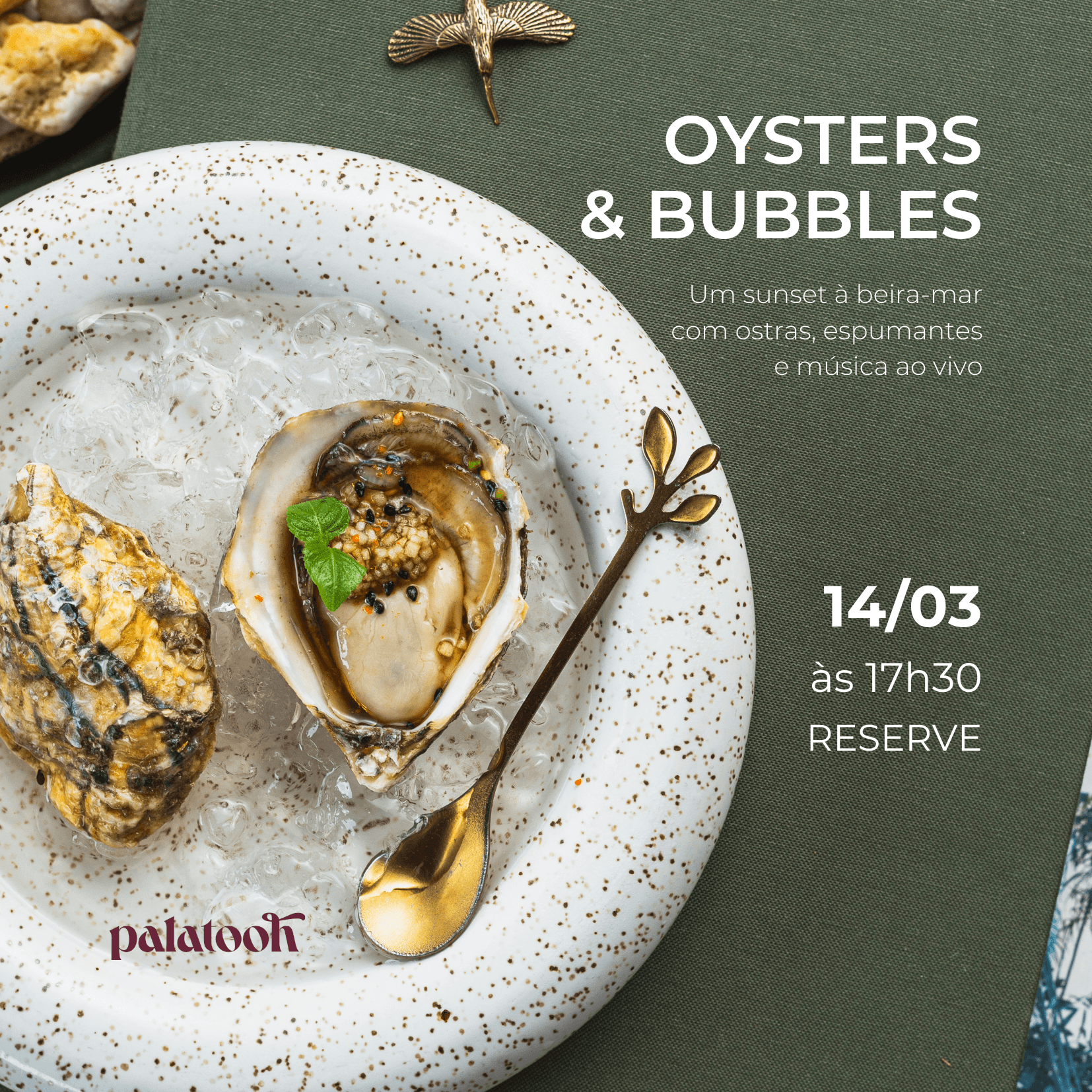 oyster popup